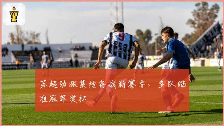 苏超劲旅集结备战新赛季，多队瞄准冠军奖杯